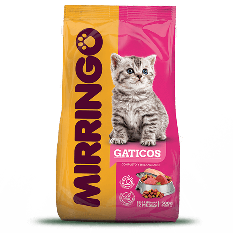 Mirringo gaticos Panamá